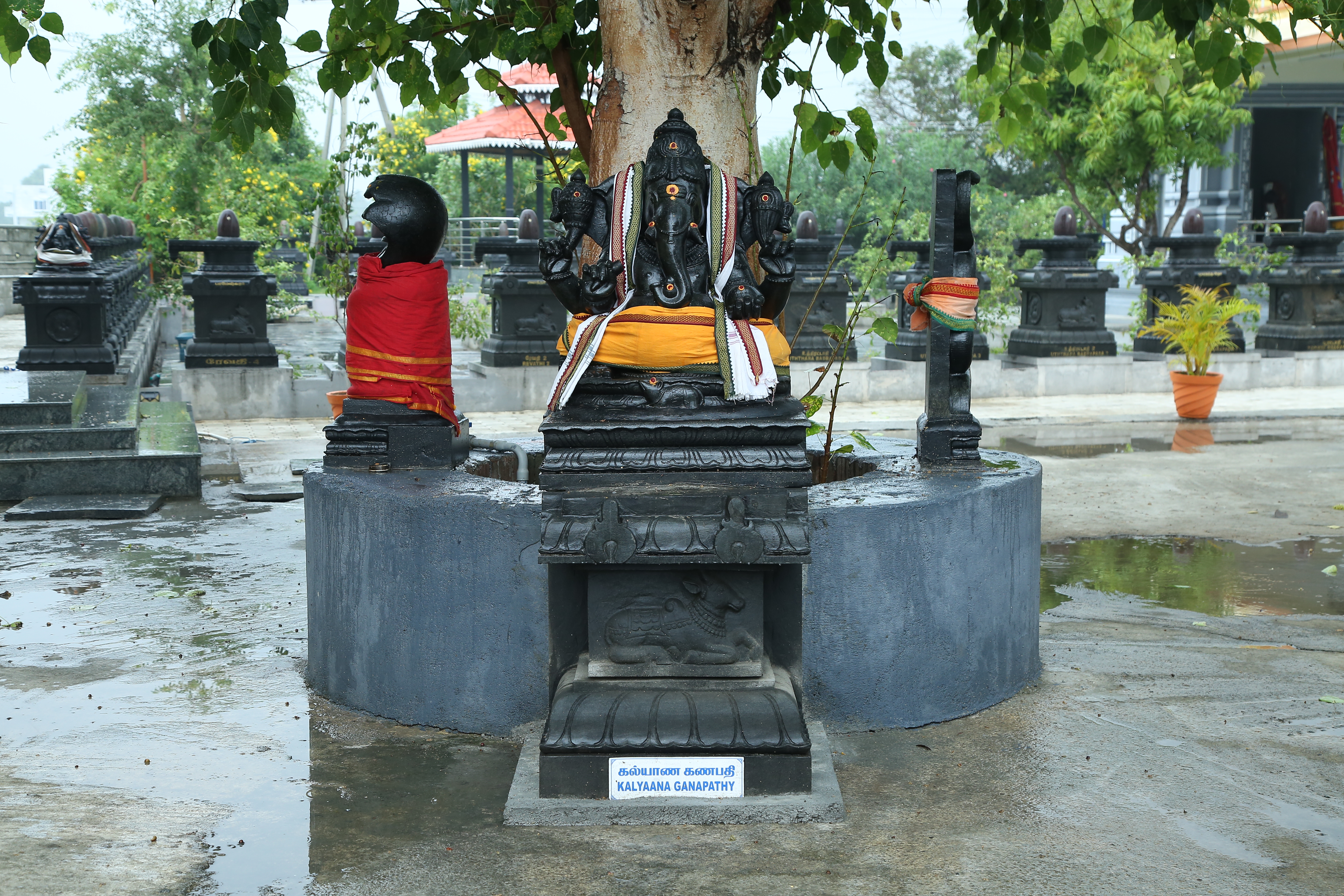 Temple view